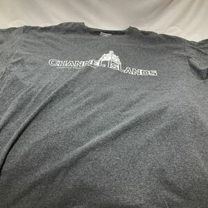 ▲Campion Tシャツ XLサイズ　　チャンピオン　　　半袖