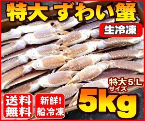 【ヤフオク 年末年始対応商品】2024年新物　送料無料！船上凍結産地箱 ５L 生ズワイガニ５kg（約12～１４肩【かに カニ 蟹】01