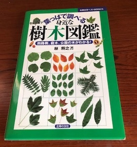 葉っぱで調べる身近な樹木図鑑: 街路樹、庭木、公園の木がわかる! 主婦の友ベストBOOKS おまけ：樹木関連新聞記事 切抜き