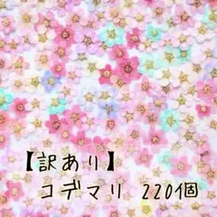 【訳あり】押し花素材 ： コデマリ 220個（101 ネイル パーツ レジン）