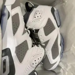 NIKE AIR JORDAN 6 RETRO COOL GREY 30cm