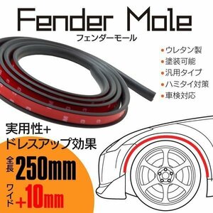 【送料無料】 塗装可能！＝オーバーフェンダーアーチモール＝ フェンダーモール 汎用タイプ 幅 10mm 長さ 2.5ｍ 250cm ラバーフェンダー