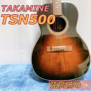 TAKAMINE TSN500 アコースティックギター