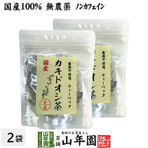 健康茶 国産100% カキドオシ茶 ティーパック 1.5g×20パック×2袋セット 宮崎県産 無農薬 ノンカフェイン 送料無料