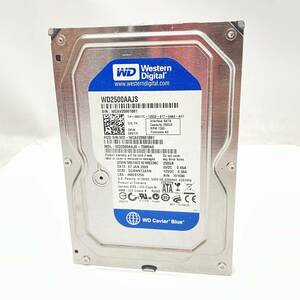 【USED】HDD Western Digital WD2500AAJS-75M0A0 250GB 881