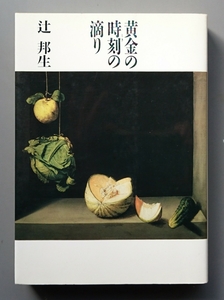 辻邦生『黄金の時刻の滴り』講談社