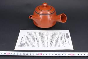 47261 新品未使用 常滑焼 朱泥 光悦 中野光悦 モダン 急須 茶注 煎茶道具 栞付