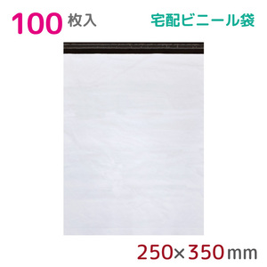 宅配ビニール袋 100枚入 幅250mm×高さ350mm+フタ40mm 60μm厚 A4 B5 耐水 防水 強力粘着テープ付 宅急便 梱包資材 SS