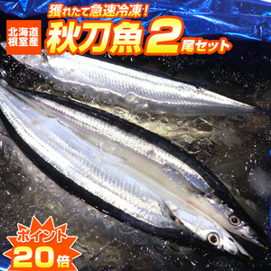 北海道 根室産 サンマ 2尾 | 1尾あたり80g前後 秋刀魚 北海道産 根室沖 魚仕入れ 水産仕入 中元 お中元 お盆 お盆休み