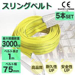 お得‐スリングベルト 3t 5本セット 1m ナイロンスリング 耐荷重3000kg 75mm×1m ベルトスリング 運搬用ベルト 運搬用スリング 吊具 5本