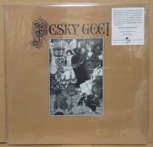 500枚限定 + シリアルナンバー付き PESKY GEE/EXCLAMATION MARK/ぺスキー・ジー WISERAVEN - WISE01LP サイケ ガレージ BLACK WIDOW前身