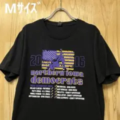 USA古着Tシャツ　Mサイズ DIST RICT アイオワ　ブラック