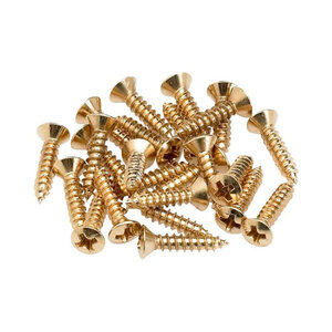 フェンダー Fender Pickguard-Control Plate Mounting Screws (24) ゴールド マウント用ネジ