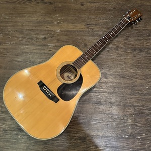 Morris W-20 Acoustic Guitar アコースティックギター モーリス -z637