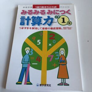 w369 みるみるみにつく 計算力 1回1枚 解答 1年生 小1 小学生 テスト 家庭学習用 復習用 小学校 ドリル 国語 算数 理科 社会 漢字 計算