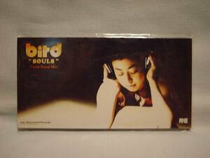 bird　8cmCDS　SOULS（Peach　Bossa　Mix）　新品