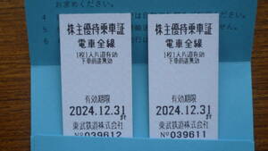 東武鉄道株主優待乗車証　２枚　電車全線　２０２４年１２月３１日まで