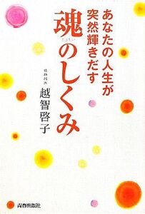 あなたの人生が突然輝きだす魂のしくみ/越智啓子【著】