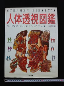 ｖ▽8　人体透視図鑑　スティーブン・ビースティー/画　リチャード・プラット/文　あすなろ書房　2000年初版　大型本　古書/D05