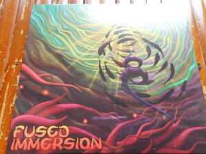 Fused Immersion Parvati Records PRVVCD01 Vantara Vichitra Records PRVVCD01