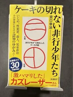 ケーキの切れない非行少年たち