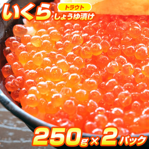 最安値挑戦！ いくら 醤油漬け 250g × 2パック 粒は小さいけど味は抜群！ トラウトいくら トラウト 鱒いくら