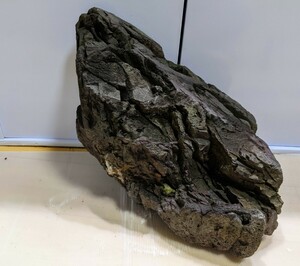 【特設】巨大 ADA 万天石 本物です No99 万天石ファンなら誰もが知るあの親石です manten stone アクアデザインアマノ aqua design amano