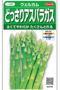 アスパラ　アスパラガス　5株セット　苗　グリーンアスパラ　ウェルカム