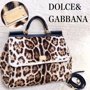 美品 DOLCE&GABBANA 2way ハンドバッグ ショルダーバッグ 総柄 ドルガバ レオパード レザー