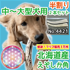 ■ 中～大型犬用 ■ 天然 北海道産 蝦夷鹿の角 ■ 半割り 2本セット ■ 犬のおもちゃ ■ 無添加 エゾシカ ツノ 鹿の角 犬 ■ 44211