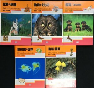 まとめ売り PictureEncyclopedia 原色ワイド図鑑 学研 5冊