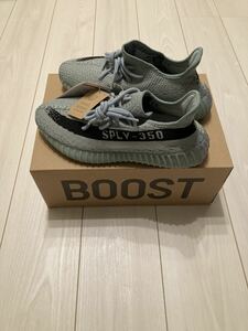 YEEZY BOOST 350 V2、ソルト、カニエウエスト、ストリート