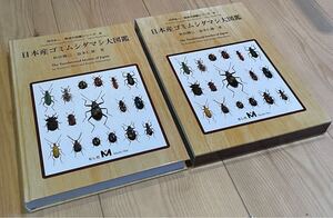 日本産ゴミムシダマシ大図鑑
