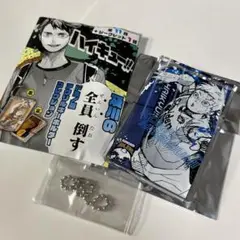 ハイキュー  限定 即完売品 及川の全員倒す アクリルキーホルダー 星海光来