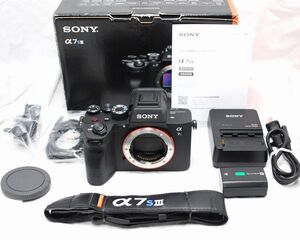 【新品同様の超美品 1404ショット・付属品完備】SONY ソニー α7s ⅢILCE-7SM3