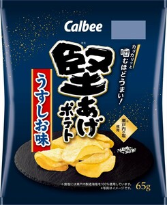 送料無料 カルビー 堅あげポテト うすしお味 65g×12袋