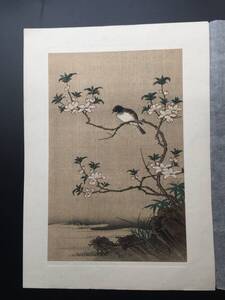 版画 狩野元信/筆「銀梅花」日本木版画枠/摺 大判 大正期 江戸風俗画 錦絵 花鳥画 浮世絵 復刻 摺物 和本 古書 真作