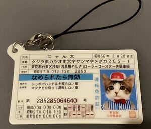 元祖なめ猫 なめんなよ なめねこ 昭和レトロ 免許証ストラップその⑤新品未使用 ヤンキー 暴走族 トレカ 当時モノ 旧車會 ツッパリヤンキー