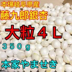 ⭐️本場岐阜県産！！本家やませき、藤九郎銀杏♡大粒！４Ｌ・３５０ g