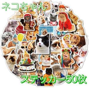 ねこ フレークシール ステッカー 猫 ユニーク 可愛いがいっぱい 50枚♪