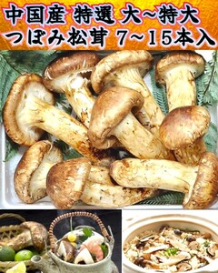 中国産 L~2L特大 【天然 つぼみ 松茸 約1kg】7～16本 土瓶蒸し 松茸ご飯 暑中見舞 新築祝い 還暦祝 誕生日祝 コンペ賞品 敬老の日