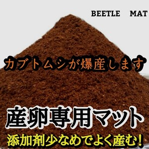 カブトムシの産卵専用　特選ビートルマット　オガを植菌で朽ちらせ室内で完熟発酵　　添加剤少なめで産卵意欲が高まり多産へと導きます！