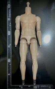 【売り切り】DAMTOYS製 1/6 男性 フィギュア 素体 フットハンド無し レオン バイオハザード 高品質 衣装を着せて飾る為の素となる部品