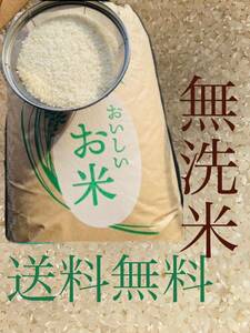 白米 お米 精米 新米 美味しい 美味 無洗米 ご飯　米　10kg 送料無料