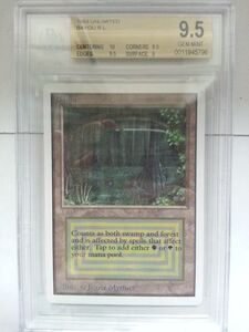 ●MTG● UN Bayou(英語 BGS 9.5 GEM MINT)