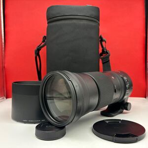 □ SIGMA 150-600mm F5-6.3 DG OS HSM Contemporary カメラレンズ AF動作確認済 ケース付 Nikon用 ニコン シグマ