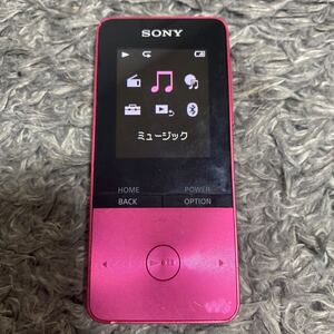 SONY ソニー ウォークマン WALKMAN NW-S315