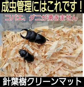 成虫管理にはこれが一番です！爽やかな香りの針葉樹クリーンマット☆生体が目立ちケース内が明るくなります☆コバエやダニもわきません10L