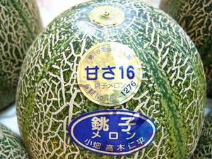 【Good】緊急入荷！日本農業賞受賞の甘さ16 銚子メロン 大玉2玉入り