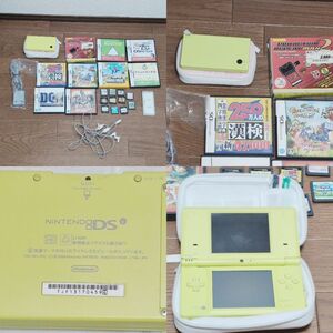 【ゲーム】 ニンテンドーDSi 本体起動確認済 ペン付 TWL-001 レア色 ライムグリーン DSソフト多数 プロアクションリプレイセット沢山まとめ